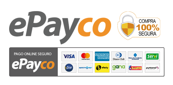 pago-seguro